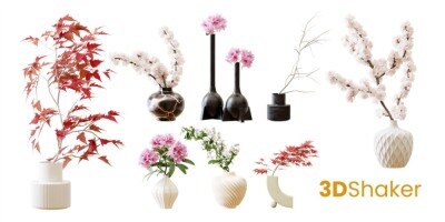 12种装饰性室内植物花瓶花卉blend模型