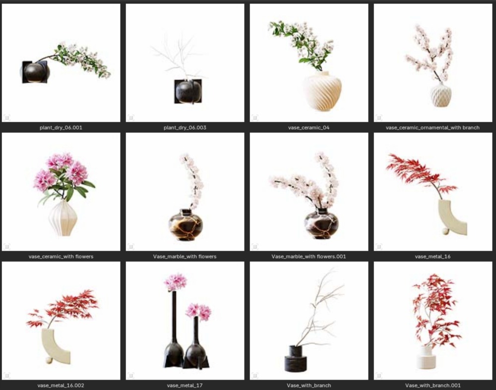 12种装饰性室内植物花瓶花卉blend模型