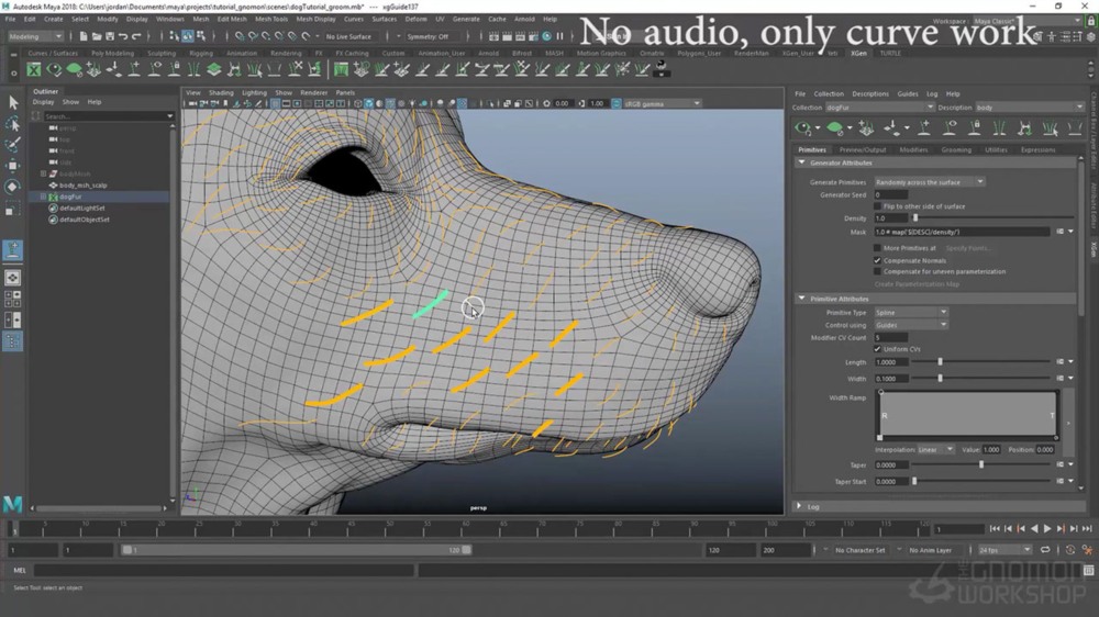 【中文字幕】Maya、XGen 狗真实毛发制作全流程教程