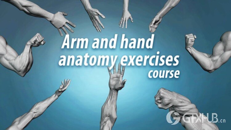 手臂和手部 Blender 解剖学练习课程