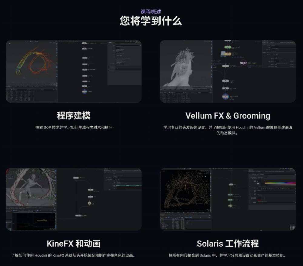 【AI中文】Houdini 环境和生物特效从概念到最终渲染教程