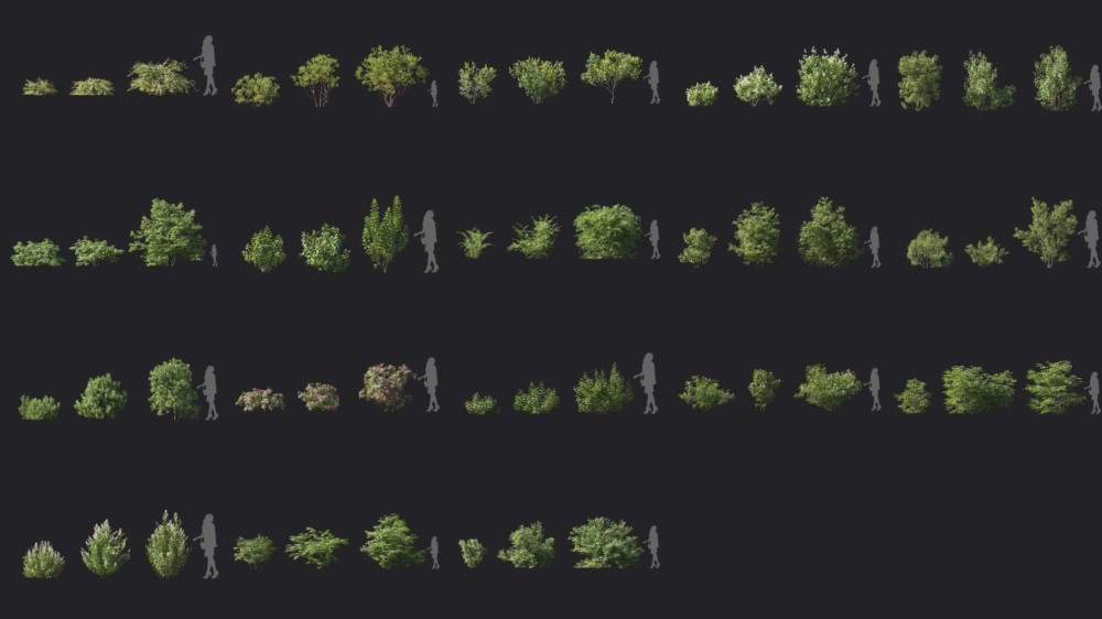植物灌木3D模型 Maxtree Plant Models Vol 6（ Blender格式）