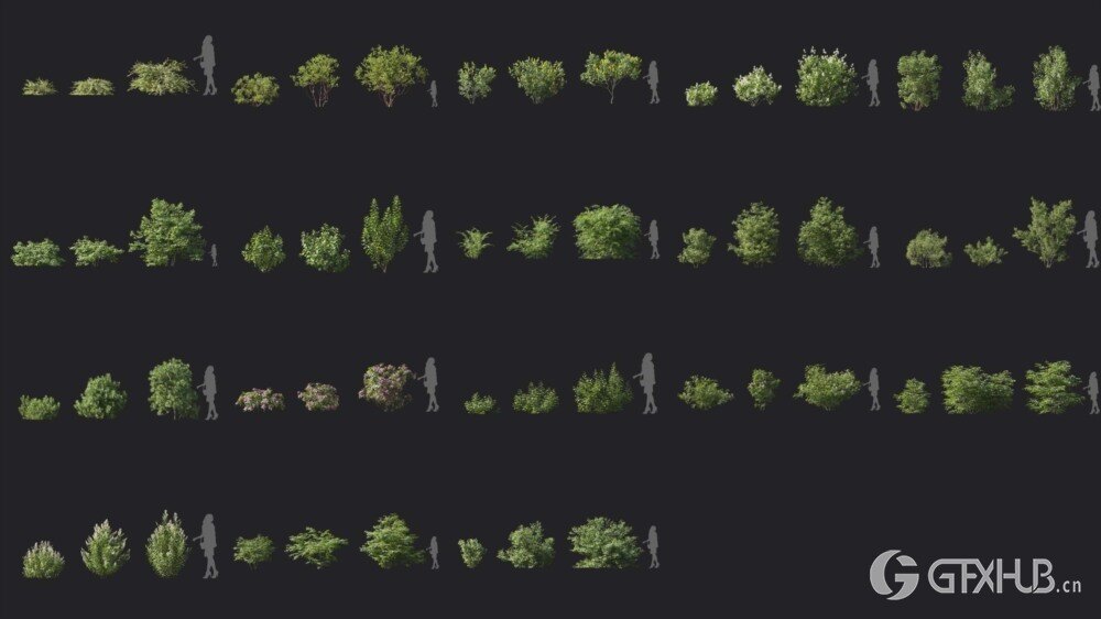 植物灌木3D模型 Maxtree Plant Models Vol 6( Blender格式)