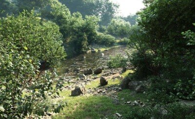 植物灌木3D模型 Maxtree Plant Models Vol 6（ Blender格式）