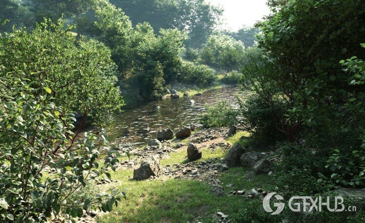 植物灌木3D模型 Maxtree Plant Models Vol 6