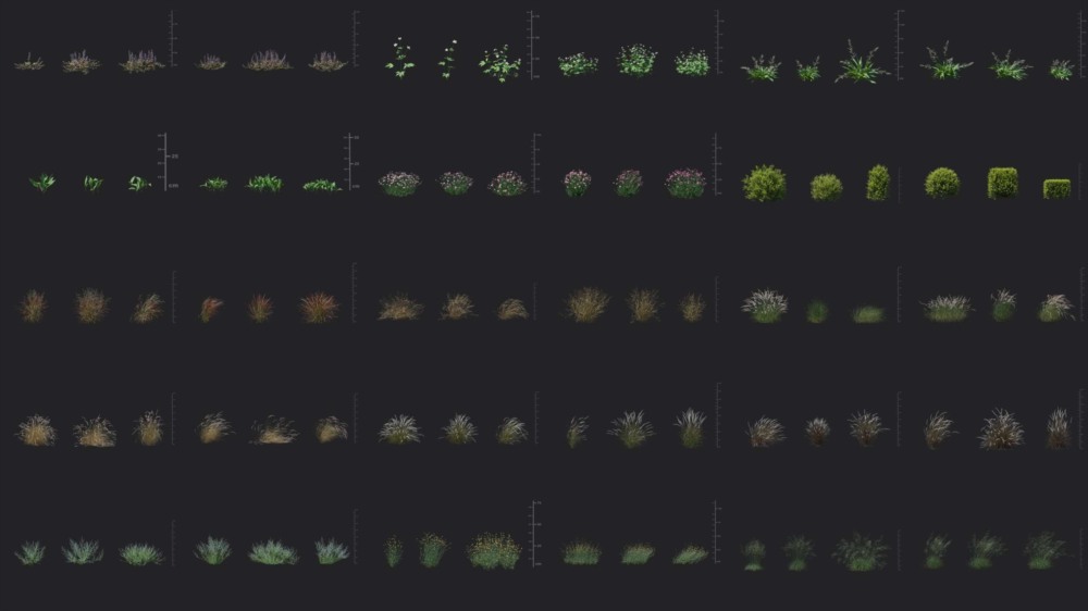90 个花草灌木3D模型 Maxtree - Plant Models Vol 49 v2