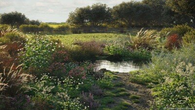 90 个花草灌木3D模型 Maxtree – Plant Models Vol 49 v2