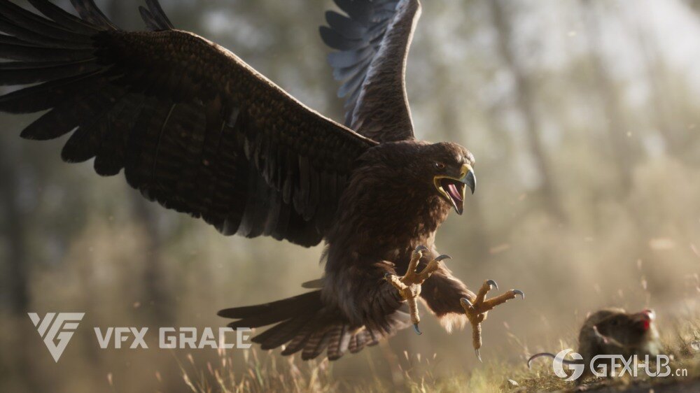 Blender 老鹰3D模型 Aquila Nipalensis Animation Rigged