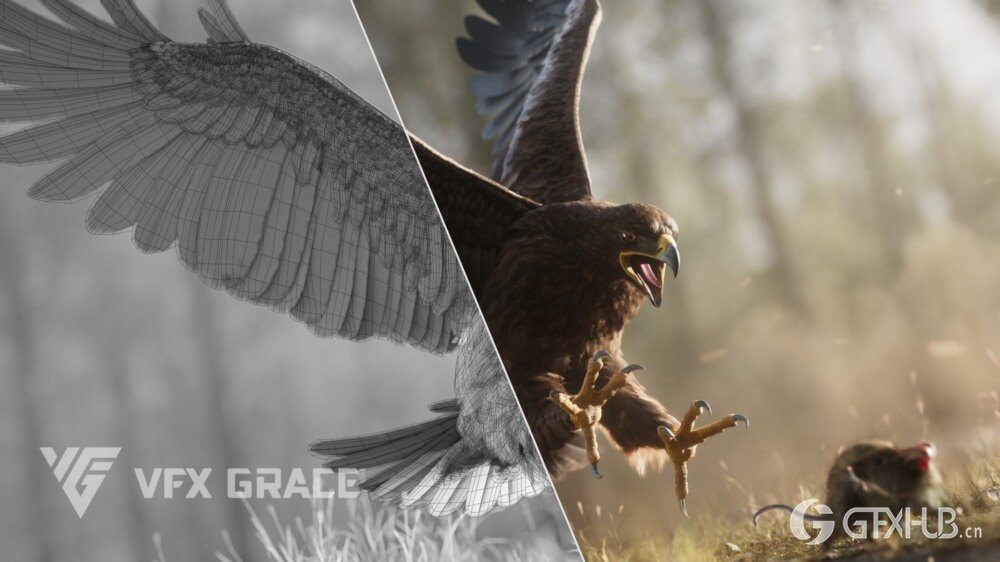 Blender 老鹰3D模型 Aquila Nipalensis Animation Rigged