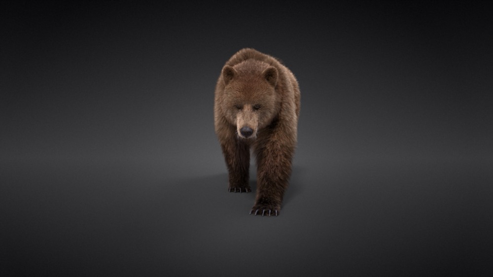 Blender 雌性棕熊3D模型 VFX Grace – Female Brown Bear