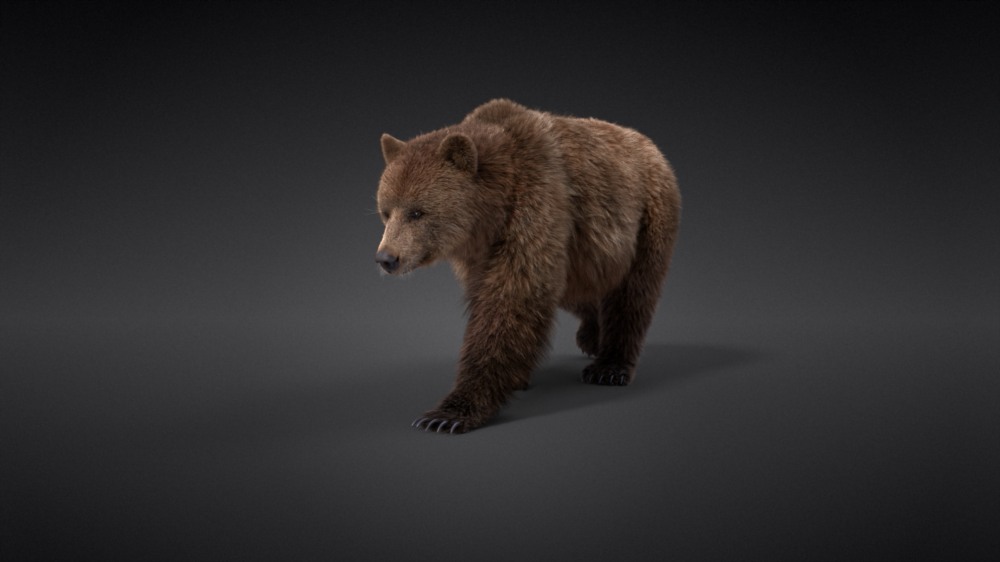 Blender 雌性棕熊3D模型 VFX Grace – Female Brown Bear