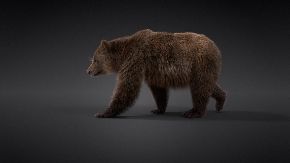 Blender 雌性棕熊3D模型 VFX Grace – Female Brown Bear