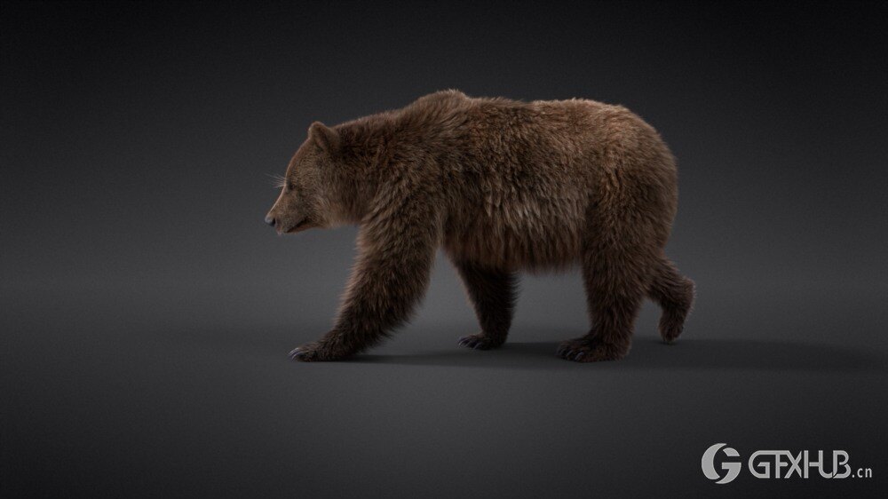 Blender 雌性棕熊3D模型 VFX Grace – Female Brown Bear