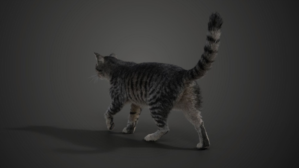 Blender 灰色虎斑猫 3D 模型 Grey Tabby Cat Blender 3D Model