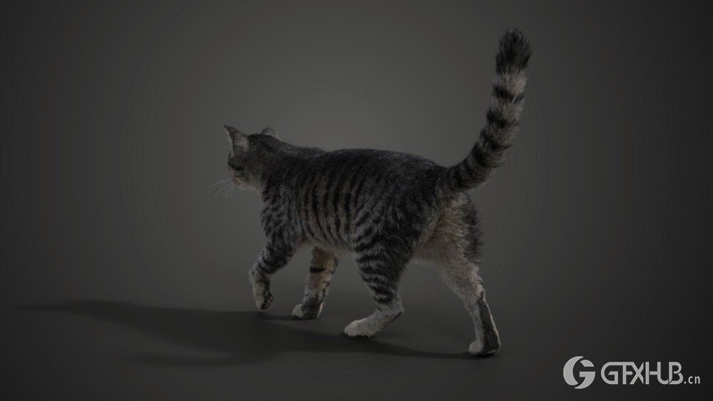 Blender 灰色虎斑猫 3D 模型 Grey Tabby Cat Blender 3D Model