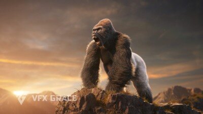 Blender 大猩猩动画绑定3D模型 Silverback Gorilla Vfx Grace