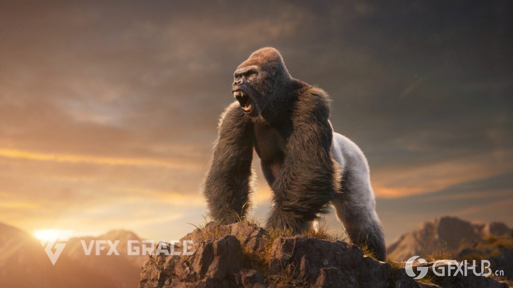 Blender 大猩猩动画绑定3D模型 Silverback Gorilla Vfx Grace