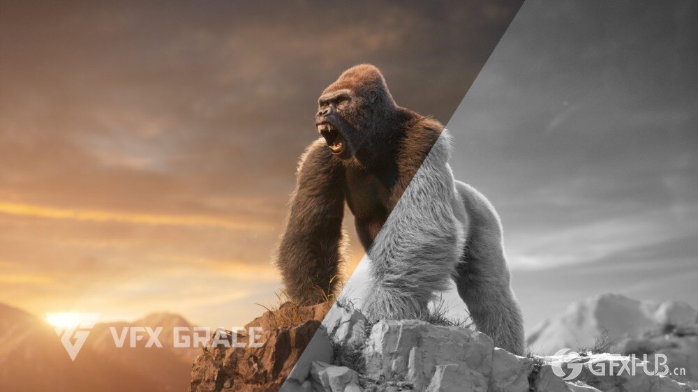 Blender 大猩猩动画绑定3D模型 Silverback Gorilla Vfx Grace