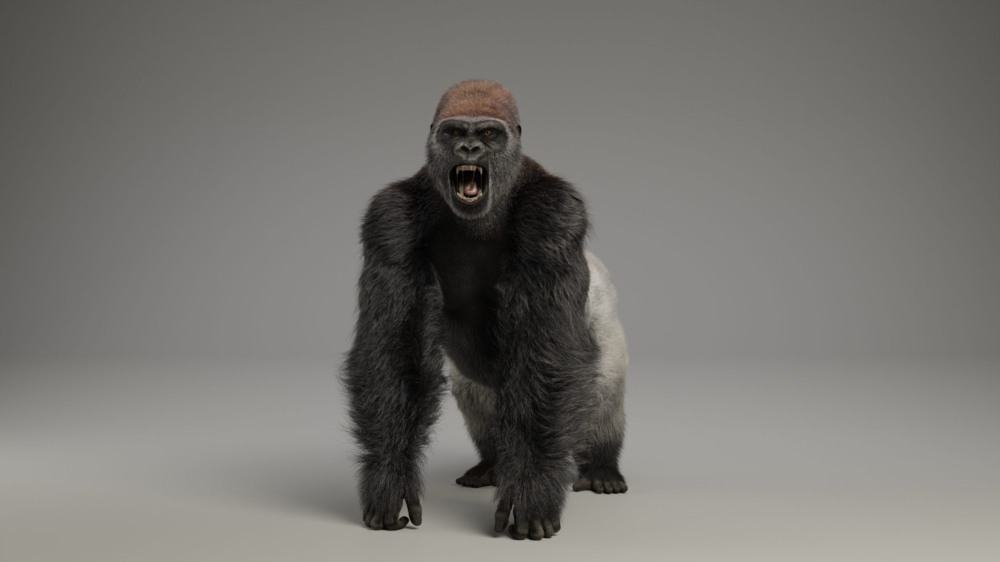 Blender 大猩猩动画绑定3D模型 Silverback Gorilla Vfx Grace