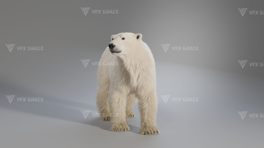 Blender 北极熊3D模型 VFX Grace – Polar Bear Rigged
