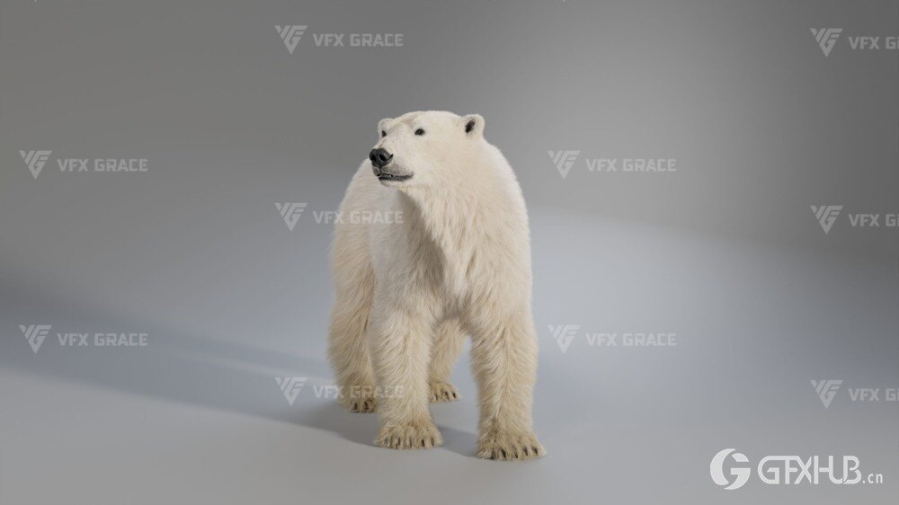 Blender 北极熊3D模型 VFX Grace – Polar Bear Rigged