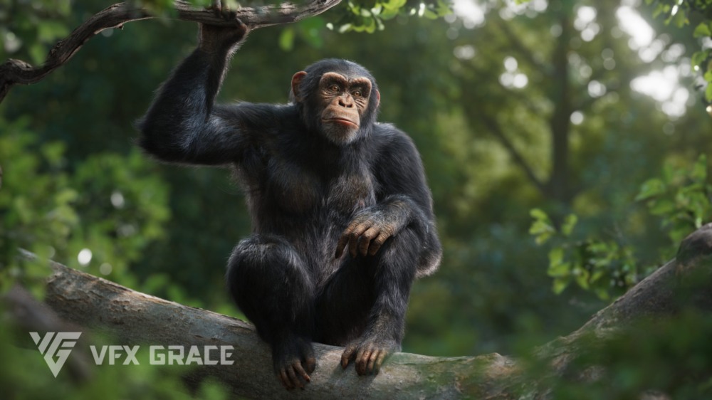 Blender黑猩猩3D模型 VFX Grace – Chimpanzee Animated