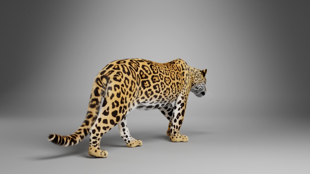 Blender 美洲豹3D模型 VFX Grace – Jaguar (Panthera Onca) Animation