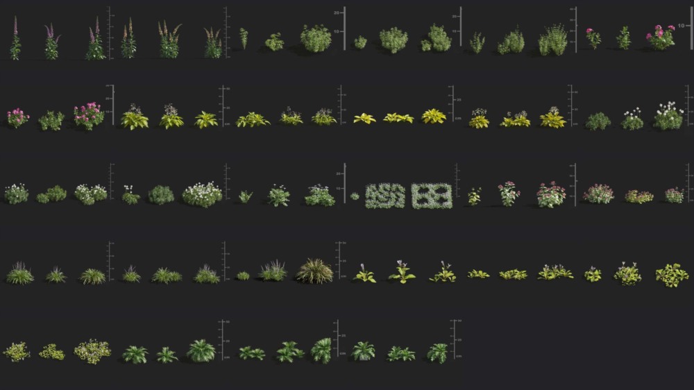 Maxtree - Plant Models Vol 8 - Blender
