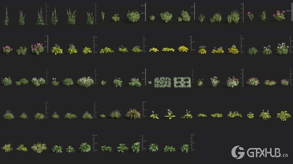 Maxtree - Plant Models Vol 8 - Blender
