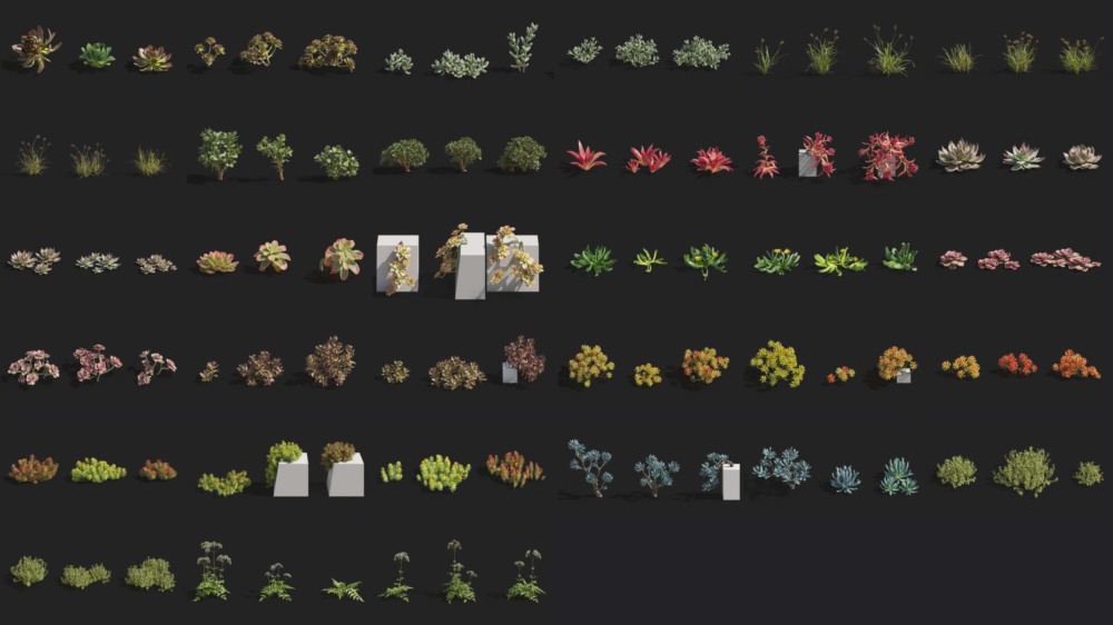 Maxtree - Plant Models Vol 14 - Blender