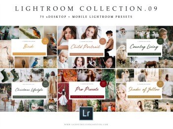 75个LR预设合集 BUNDLE 09_Lightroom Collection X 75