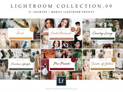 75个LR预设合集 BUNDLE 09_Lightroom Collection X 75