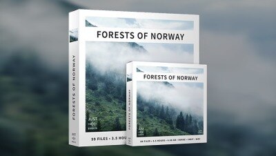 99 个挪威的森林荒野大自然音效 Forests of Norway Surround