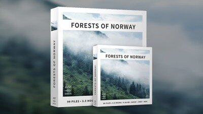 99 个挪威的森林荒野大自然音效 Forests of Norway Surround