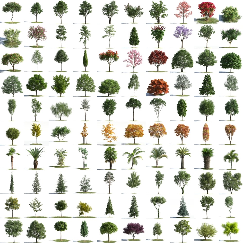 100组植物树木3D模型 Archmodels for Corona vol.1 (3DS MAX格式)