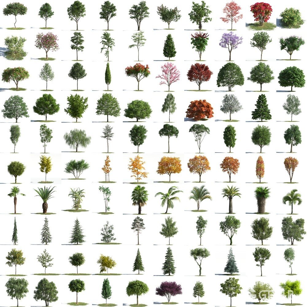 100组植物树木3D模型 Archmodels for Corona vol.1 (3DS MAX格式)