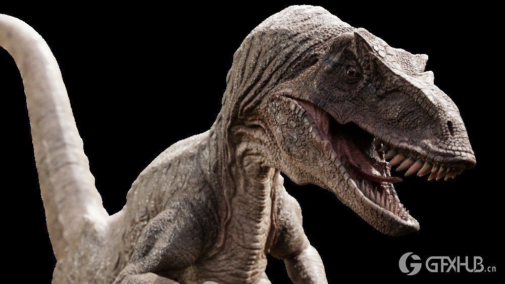 Blender迅猛龙恐龙3D模型 Raptor Dinosaur 3D model Realistic and Rigged