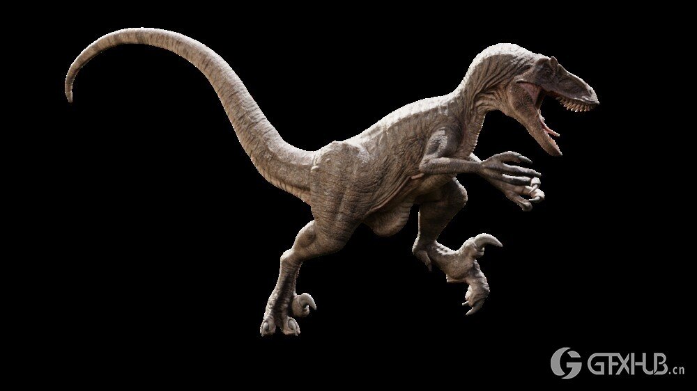 Blender迅猛龙恐龙3D模型 Raptor Dinosaur 3D model Realistic and Rigged
