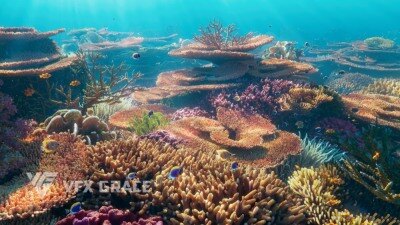 Blender 珊瑚3D模型资产 VFX Grace – Corals Collection