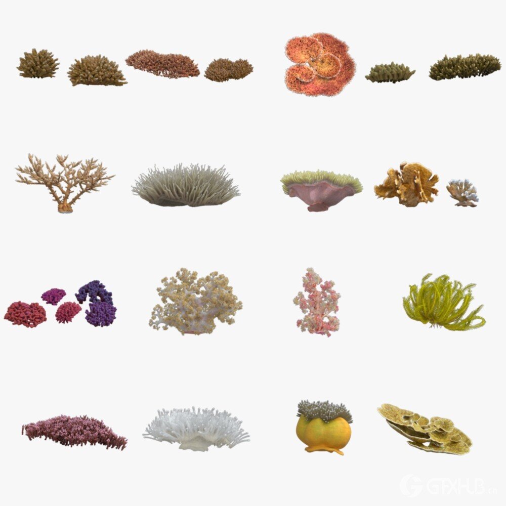 Blender 珊瑚3D模型资产 VFX Grace – Corals Collection