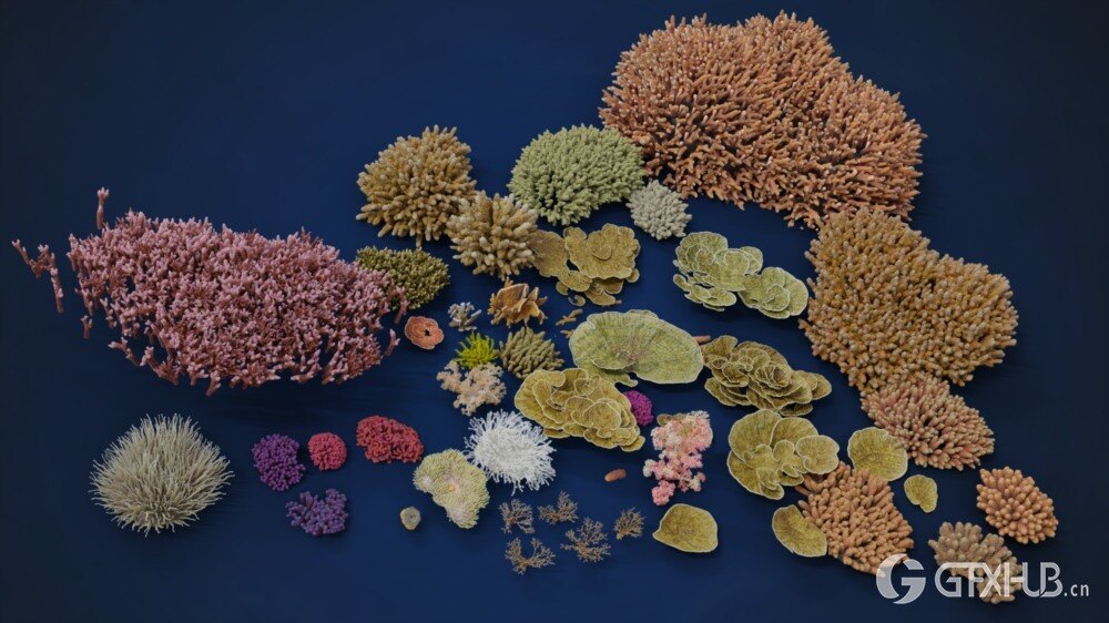 Blender 珊瑚3D模型资产 VFX Grace – Corals Collection