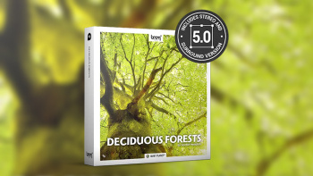384个纯净、清新、季节性的森林氛围音效 BOOM Library – Deciduous Forests
