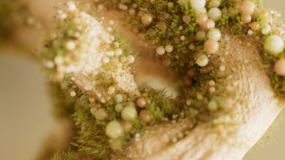 【中文字幕】MotionPunk C4D Octane渲染器全面掌握入门基础教程