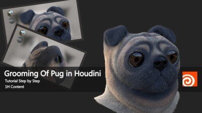 Houdini、Hairgen打造半真实巴哥犬美容全流程