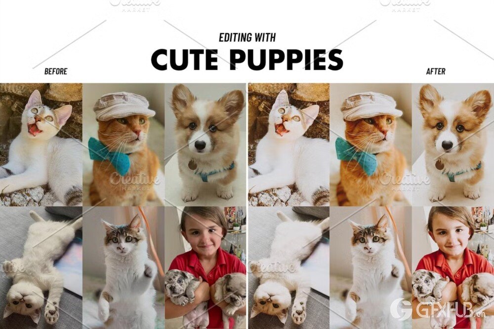 全店套装Lightroom预设套装包 All shop bundle lightroom presets