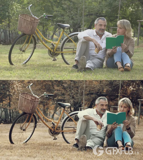 422视频LUT预设终极套装 ColorWheel Store – THE ULTIMATE BUNDLE