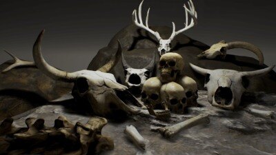 《死灵骨盒》Skulls And Bones By Necrophob30