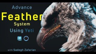 高级羽毛系统创建精要：Yeti专业工作流与生物角色增强技术