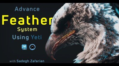 高级羽毛系统创建精要：Yeti专业工作流与生物角色增强技术