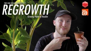 Houdini 植物生长动画大师课｜从 0 搭建影视级植物生长特效全流程（中文字幕）